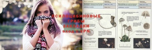 метамфетамин Богданович