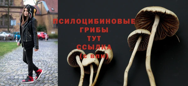 экстази Богородицк