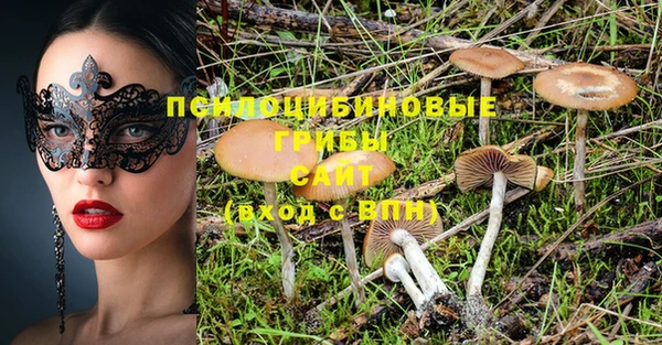 экстази Богородицк