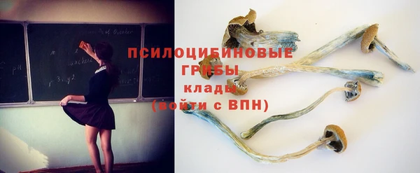 экстази Богородицк